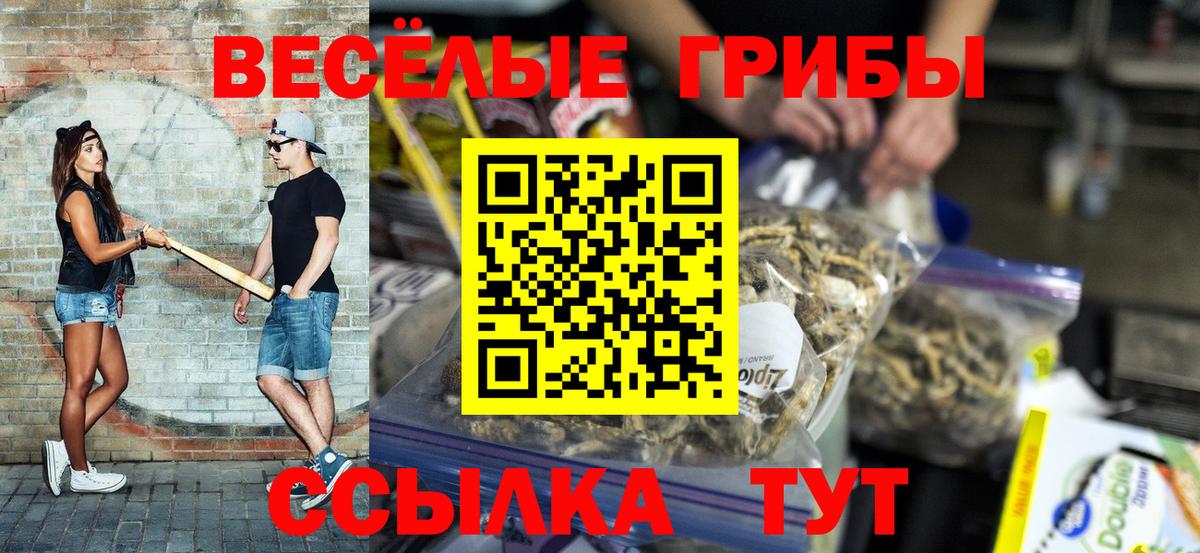 Псилоцибиновые грибы ЛСД  Псилоцибиновые грибы мухоморы  Вход с VPN  Кудымкар 